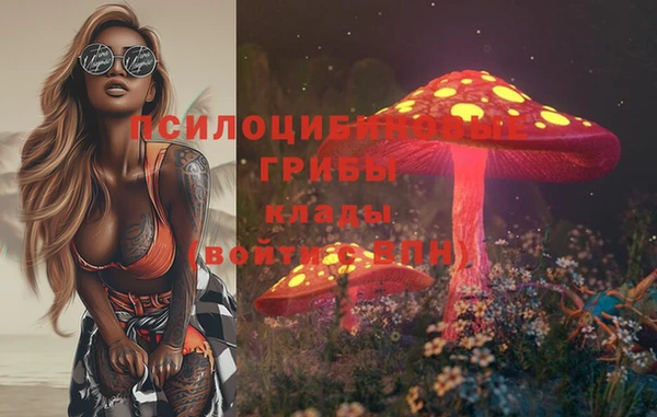 apvp Алзамай