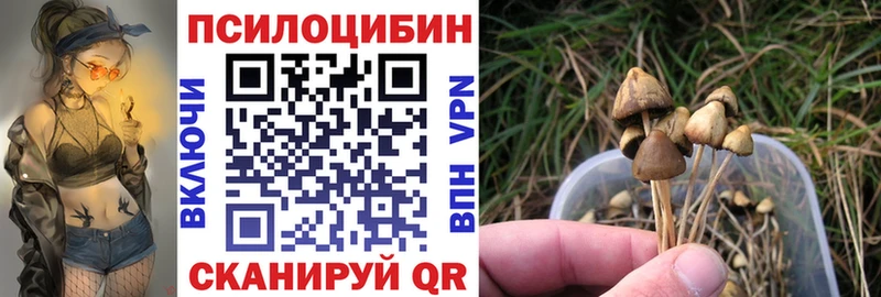 Псилоцибиновые грибы мицелий  Кимры 