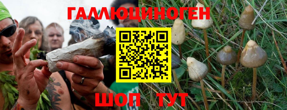 Псилоцибиновые грибы ЛСД Кимры